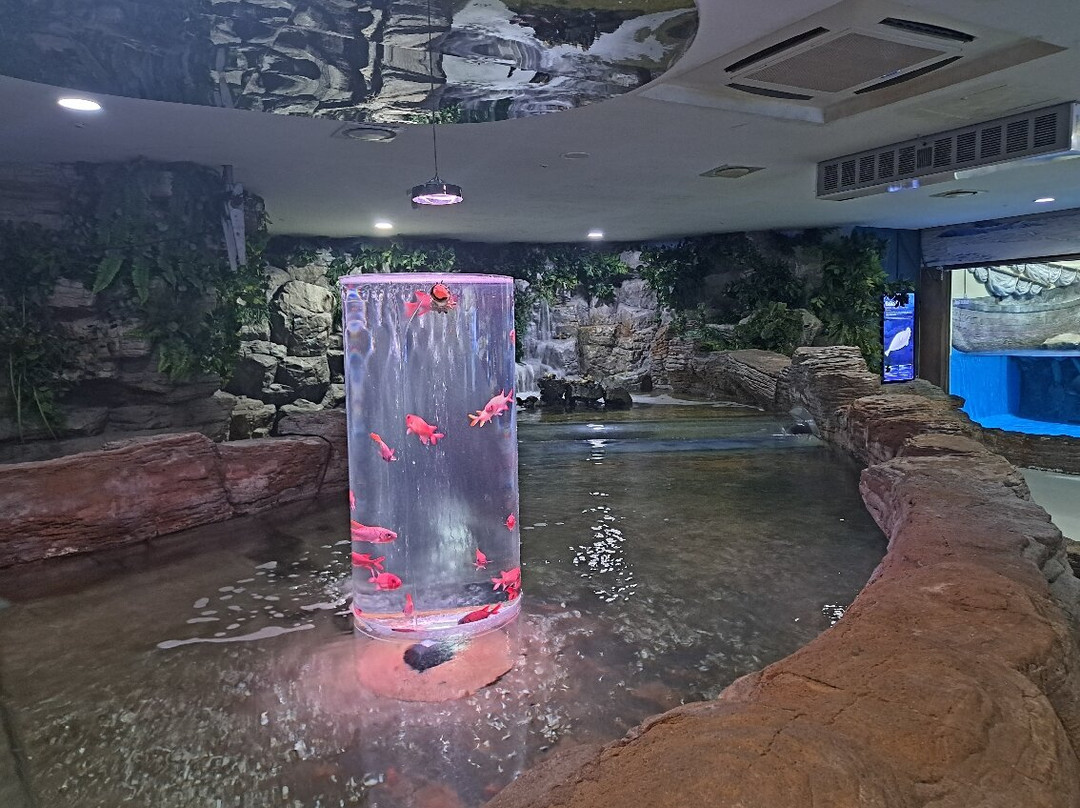 水上星球济州-西归浦市必去景点
