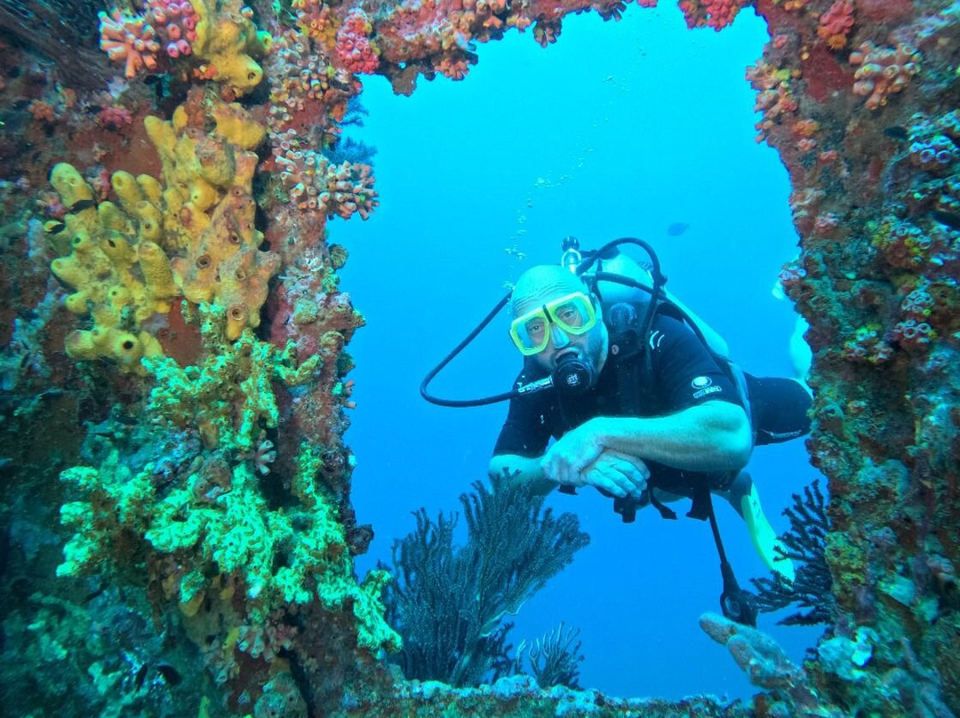 Undersea Tobago Ltd-克朗波因特必去景点