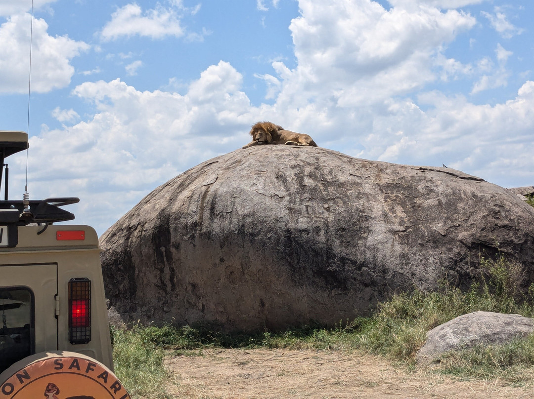 Trackless Wild.-阿鲁沙必去景点