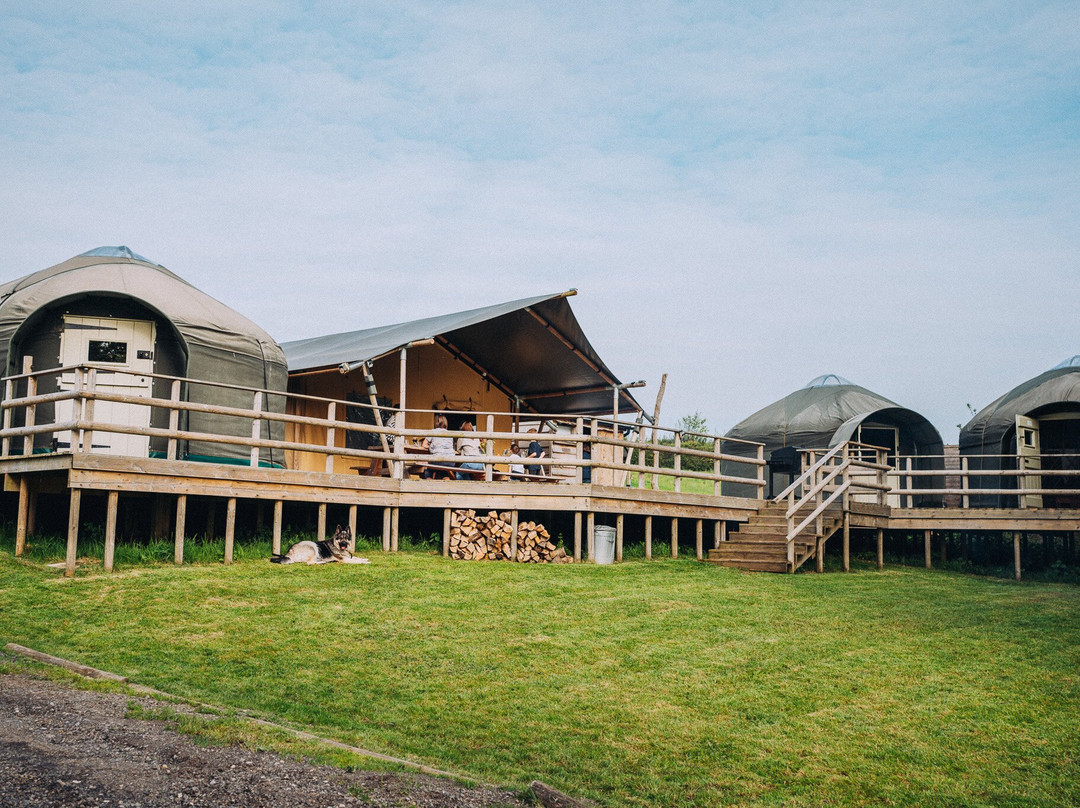 Stock Gaylard Yurts