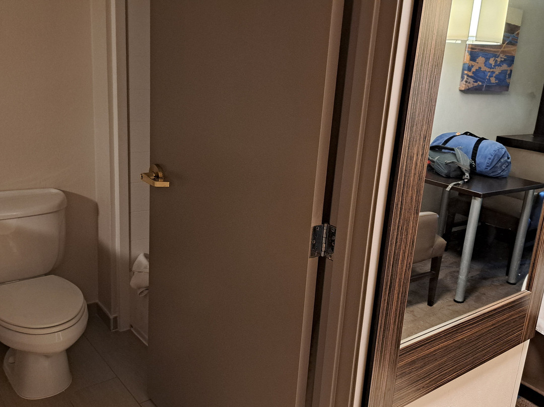 Holiday Inn Express & Suites Meadowlands Area By IHG主图