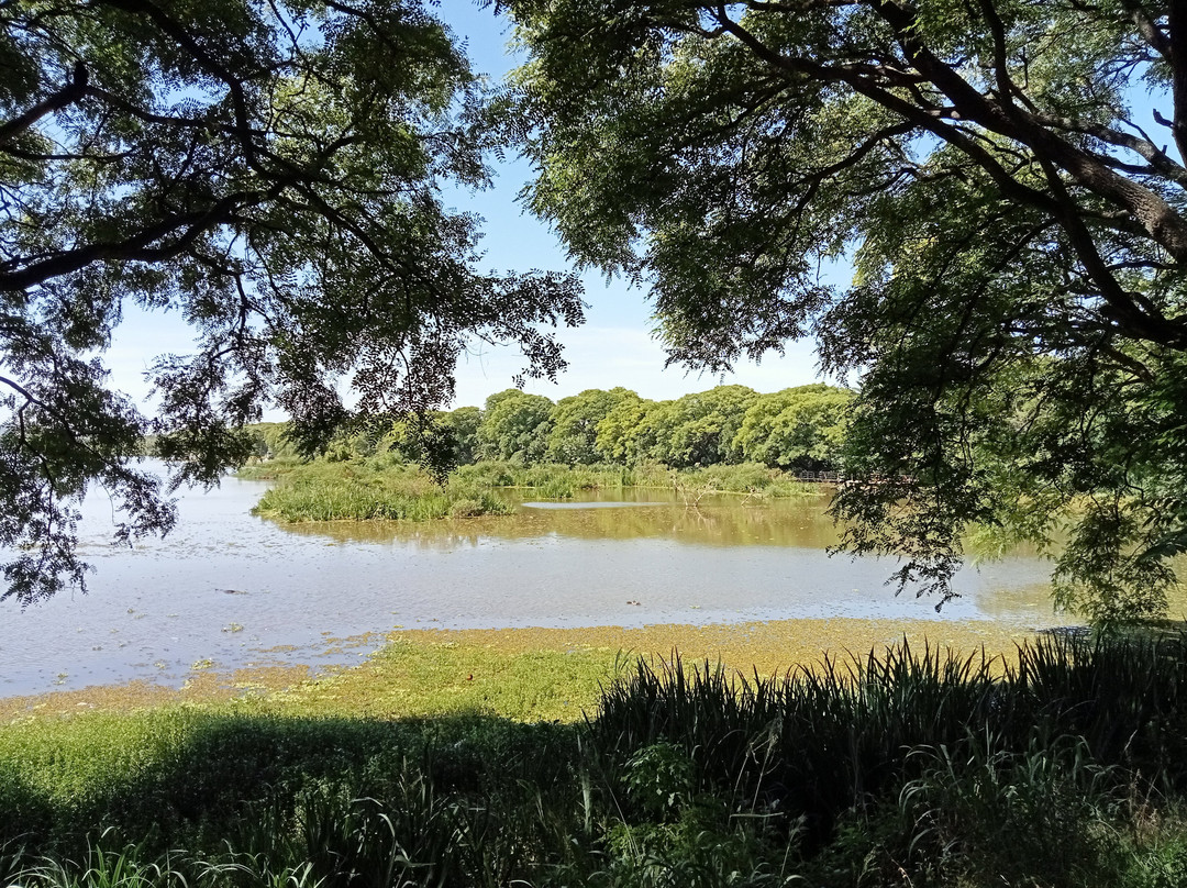 Reserva Ecológica Costanera Sur-布宜诺斯艾利斯必去景点