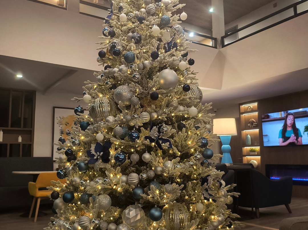 Comfort Inn & Suites Irvine Spectrum主图