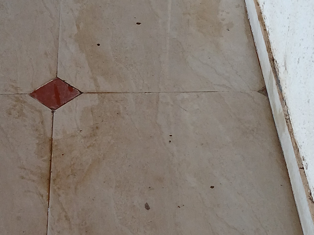 Valley Wood Resort And Spa主图