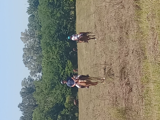 Horse Riding Lessons In Argentina