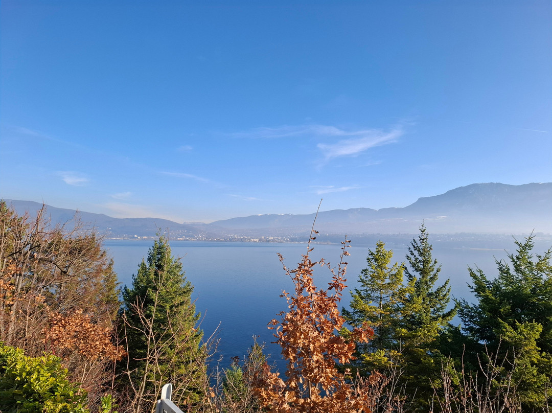 La Turqoise Egarée主图