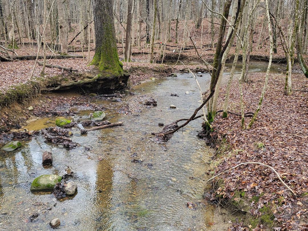 Char-mar Ridge Park-韦斯特维尔必去景点