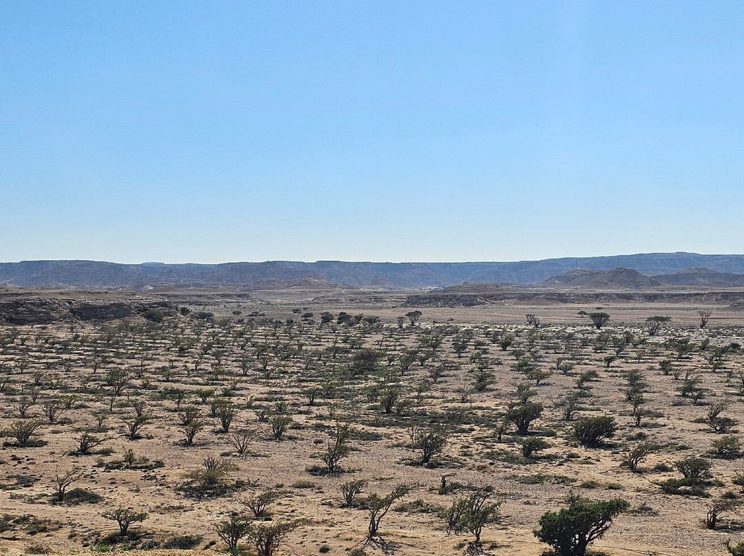 Wadi Dawkha-塞拉莱必去景点