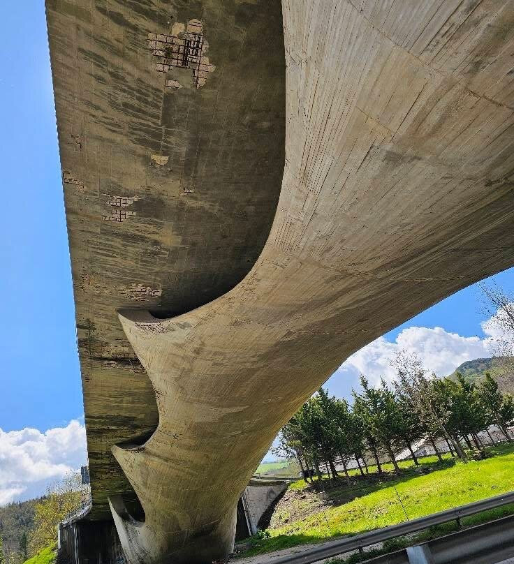 Ponte sul Basento景点图片