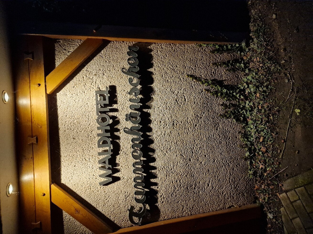 Waldhotel Tannenhauschen主图