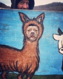 Justin Trails Resort, LLC主图