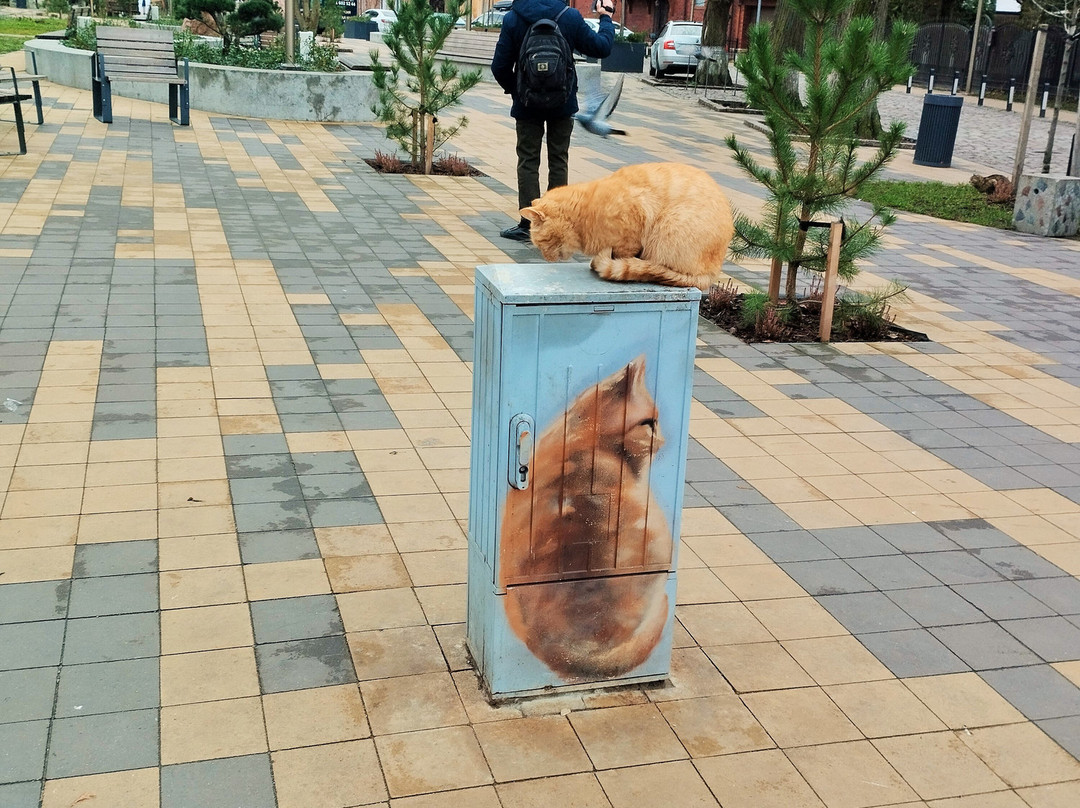 Kurortny Ave.景点图片