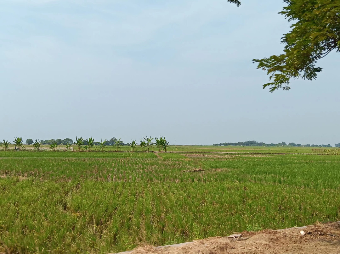 Grand Trisula Hotel Indramayu主图