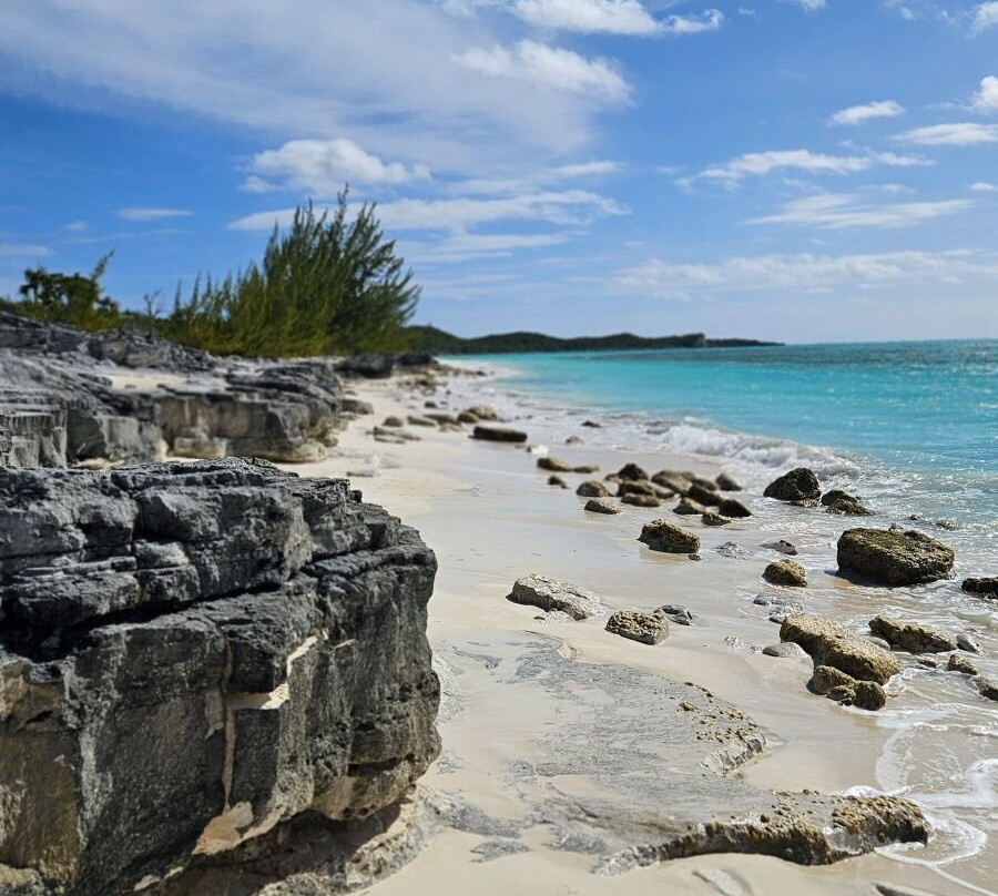 Cat Island Experience-Cat Island必去景点