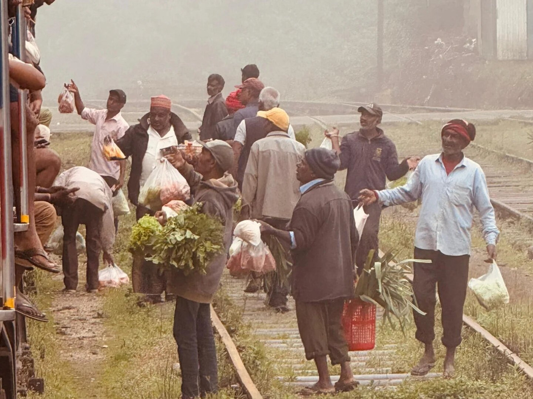 Weligama Cabs-瓦勒迦玛必去景点