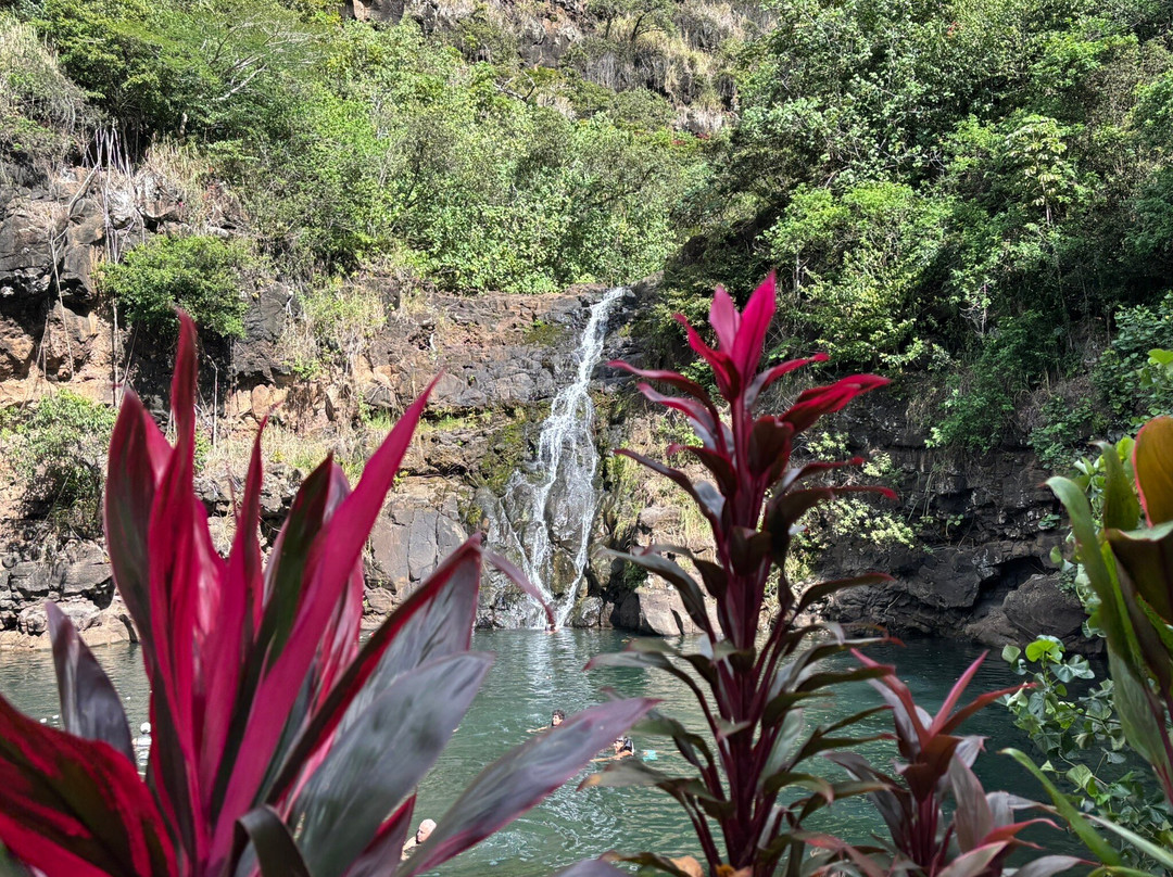 Waimea Falls