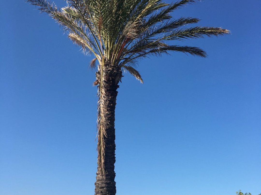 Pantelleria Dream Resort主图