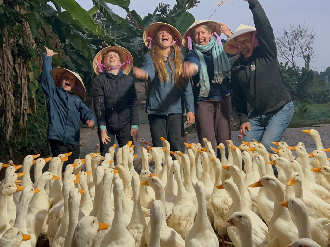 The Duck Stop景点图片