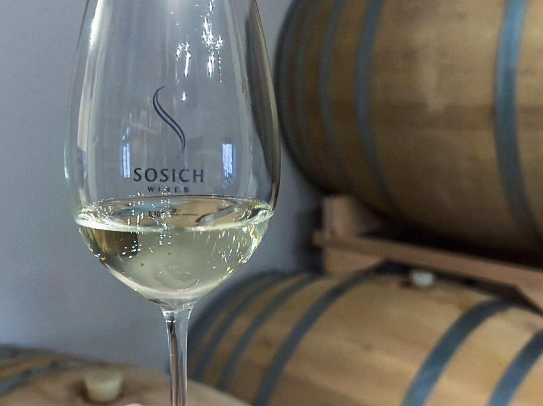 Sosich Wines-Vizinada必去景点