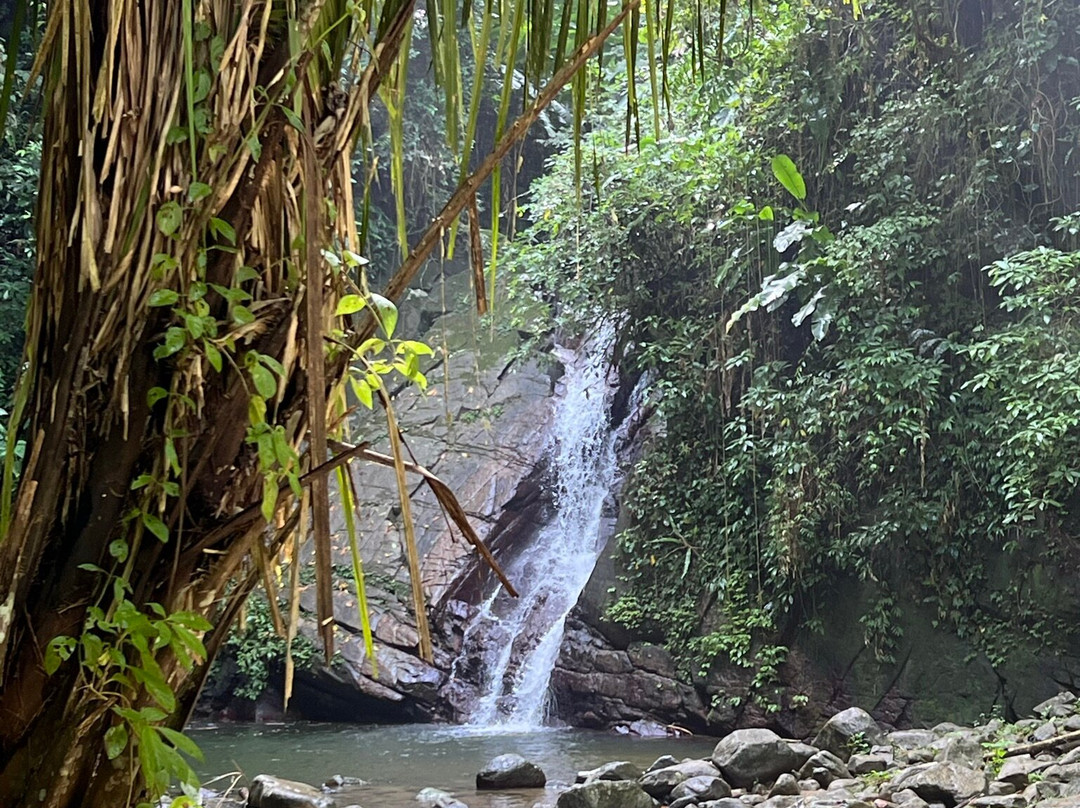 Castara Waterfall-Castara必去景点