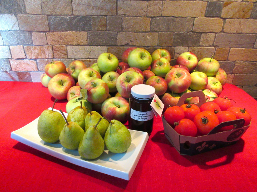 Les Vergers Du Cap-Cap-Saint-Ignace必去景点