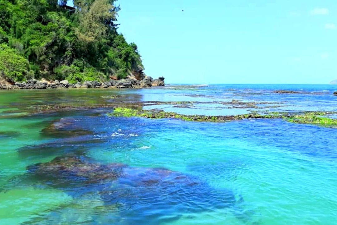 Plage De Libanona景点图片