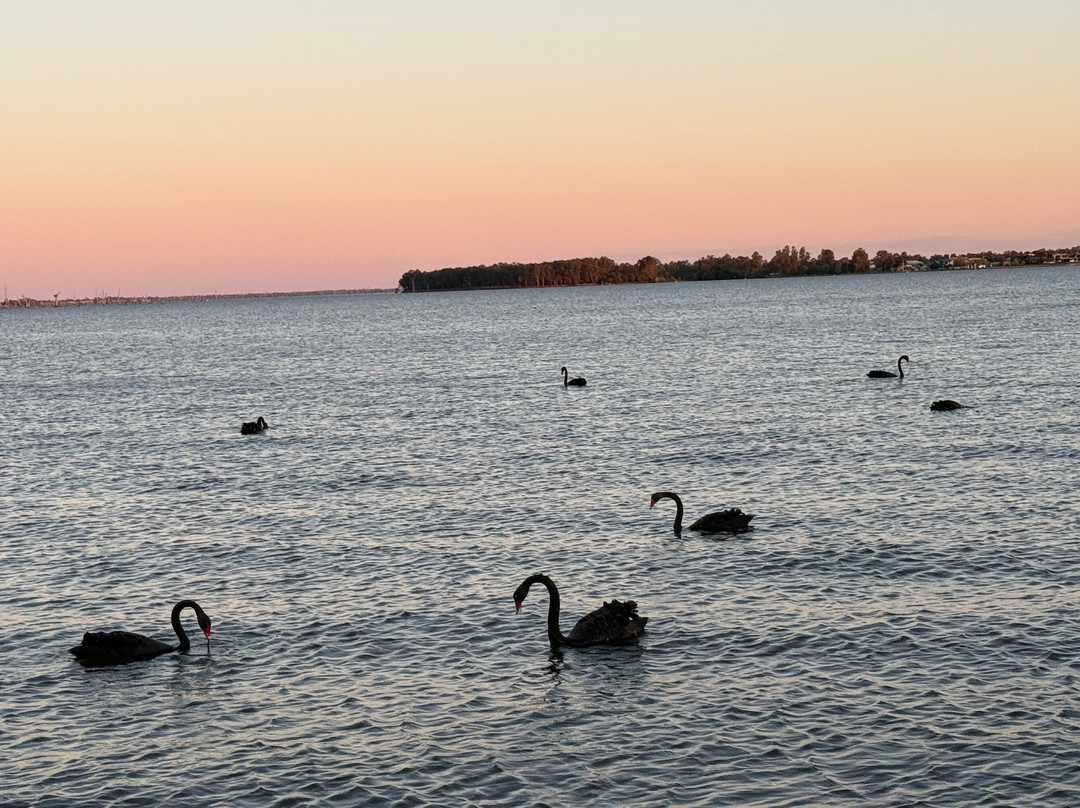 Lake Mulwala Boatel