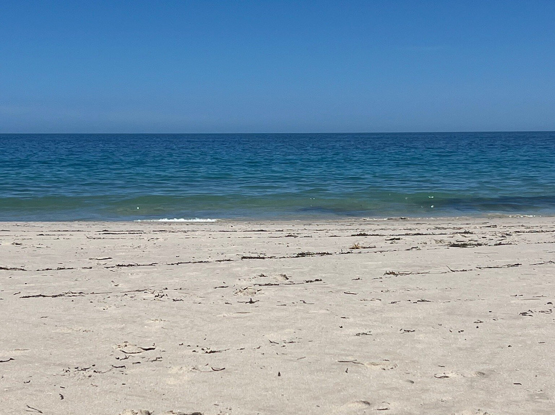 Carrickalinga Beach景点图片