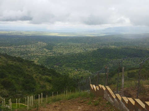 Kenyana Wildlife Safaris-内罗毕必去景点