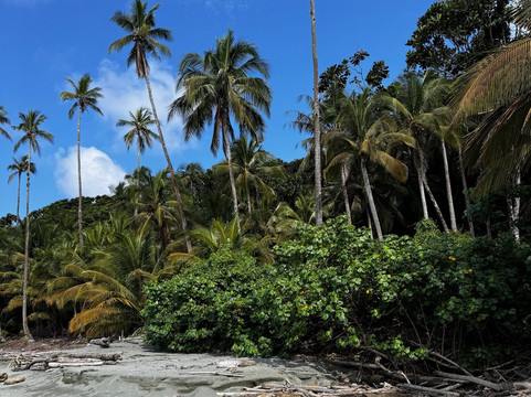 Parque Nacional Natural Gorgona-La Gorgona必去景点