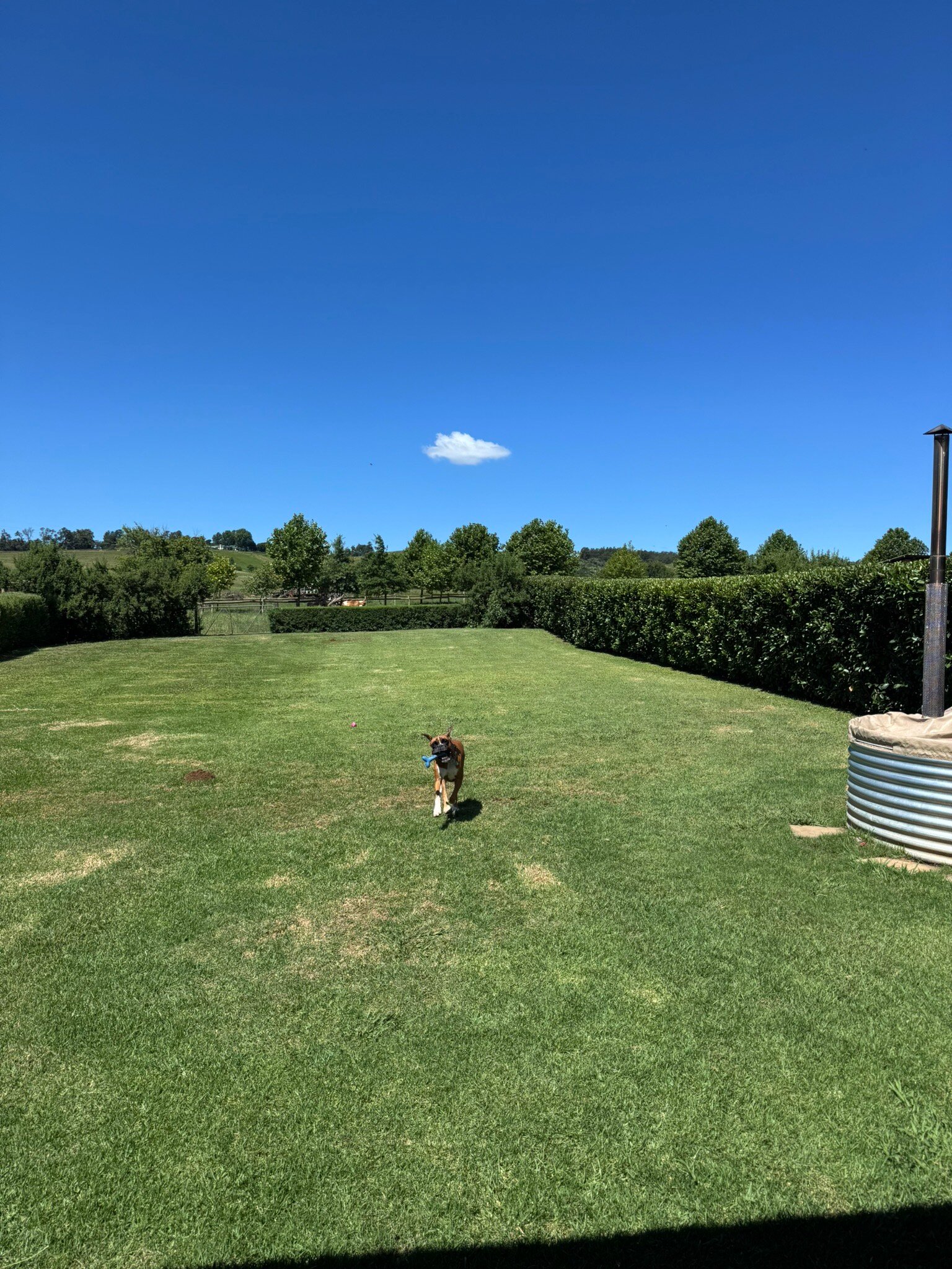 Springvale Farm Cottages-官方