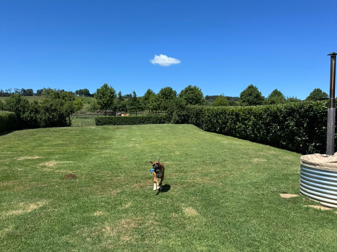 Springvale Farm Cottages主图