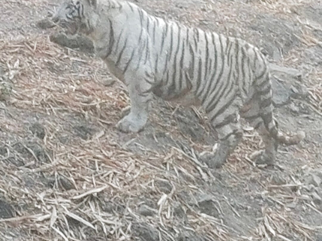 Pradyuman Park-杰拉果德必去景点
