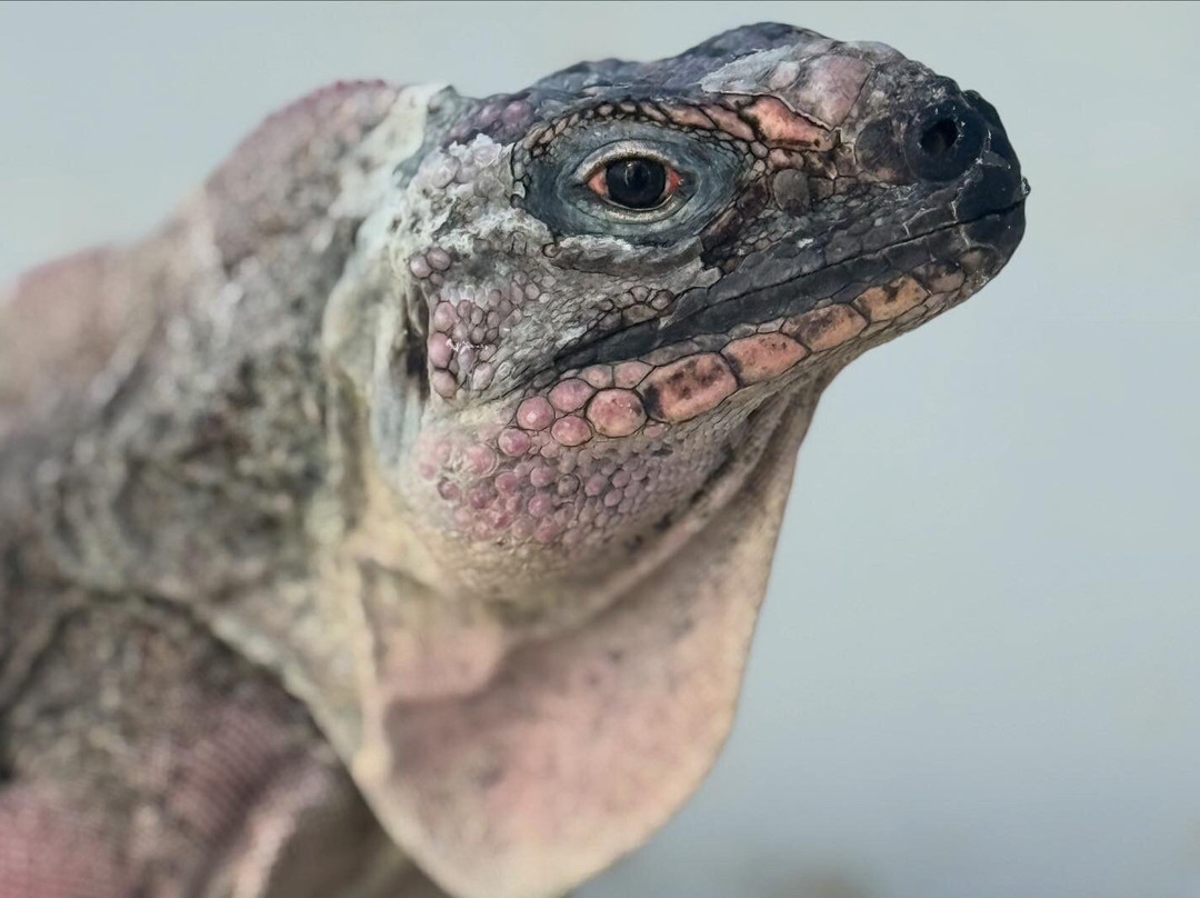 Triple A Adventures-大埃克苏马必去景点