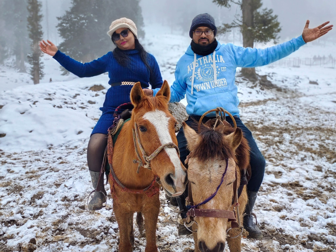 Kashfly - Kashmir Tour and Travel-斯利那加必去景点