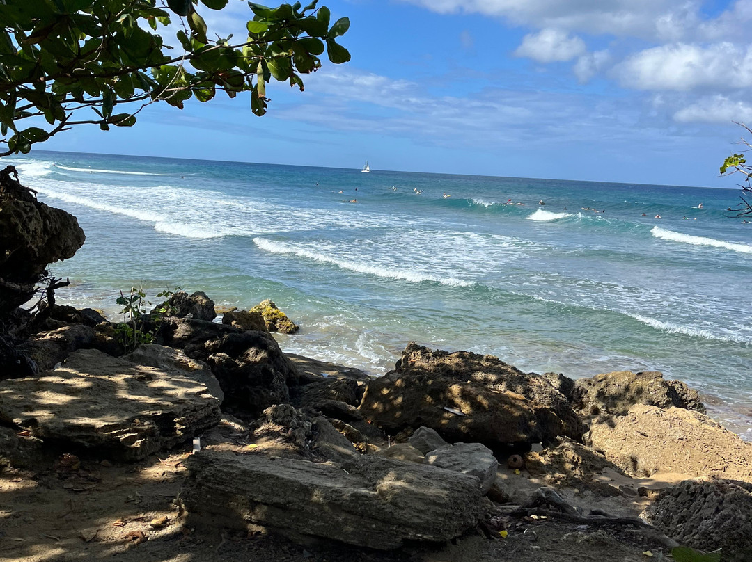 Horseback Rides by Pintos R Us-吕康必去景点