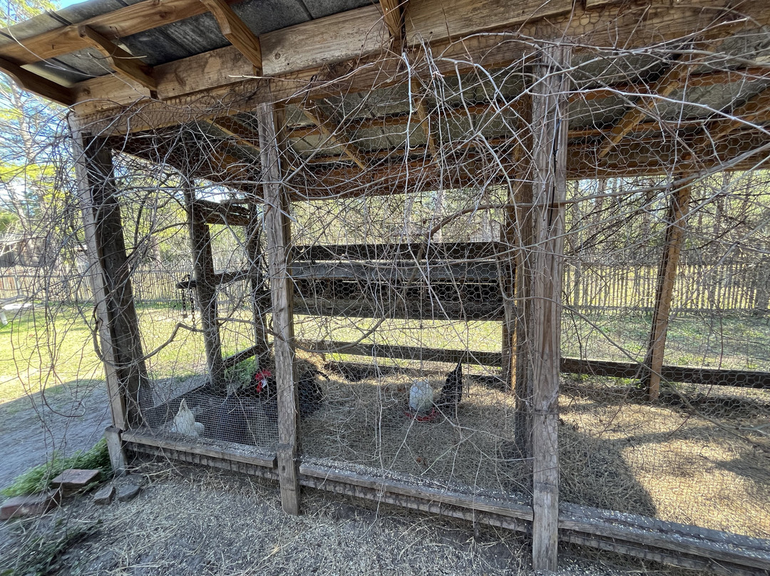 Florida Agricultural Museum-棕榈海岸必去景点