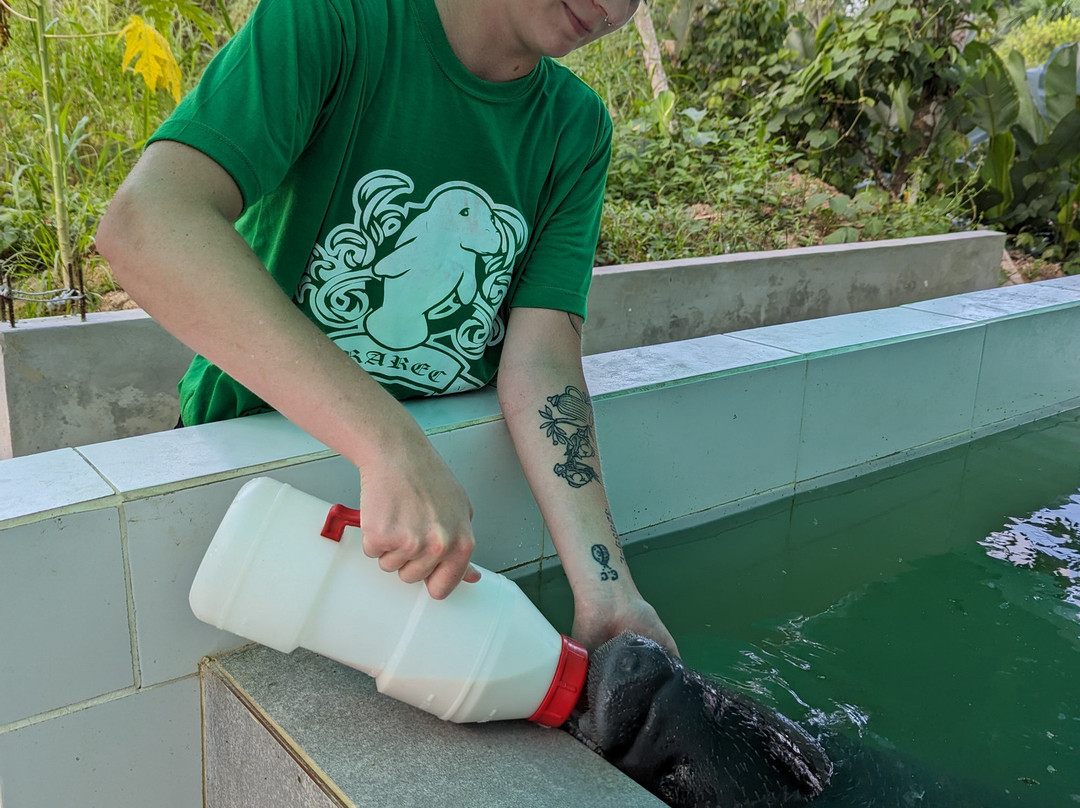Rainforest Awareness Rescue Education Center景点图片