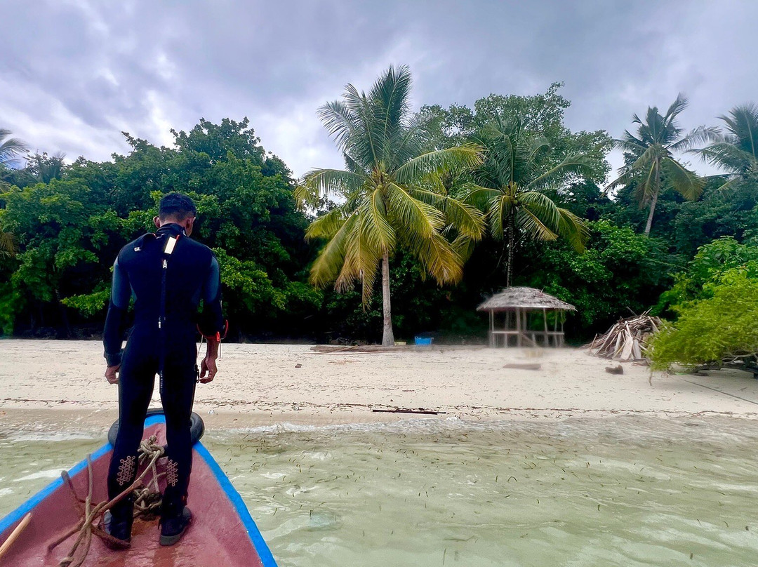 Wakatobi Hoga Diving主图