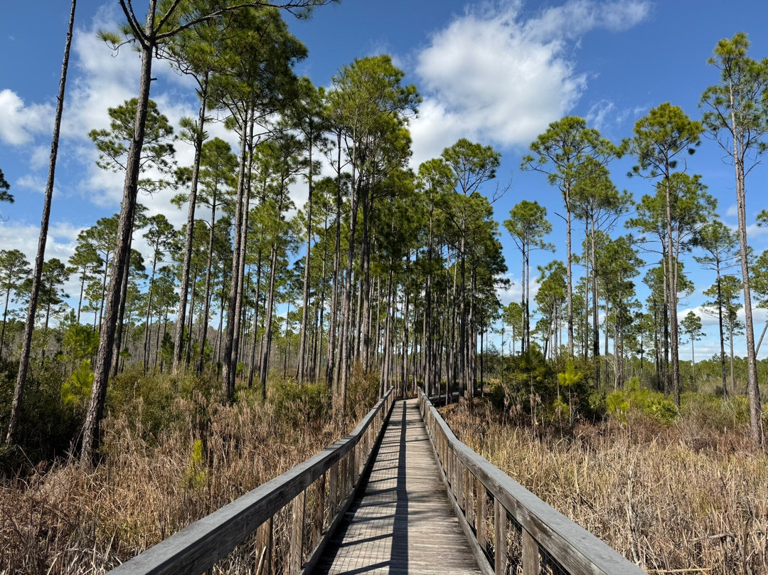 Conservation Park-巴拿马城海滩必去景点