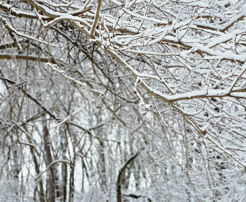 Crains Run Nature Park