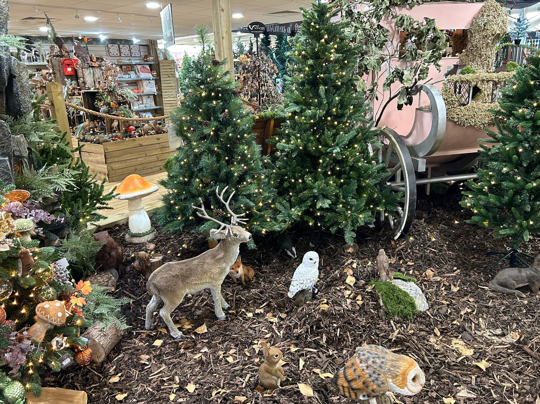 Pennell's Garden Centre景点图片