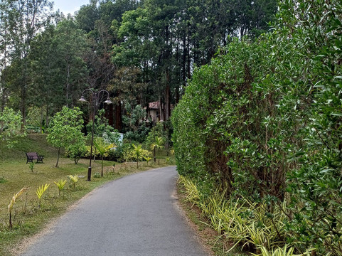 Belluru酒店住宿-Rosetta Sakleshpur