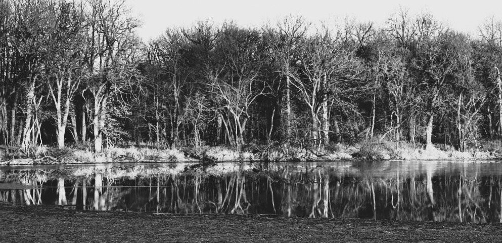 Lake Shetek State Park-Currie必去景点