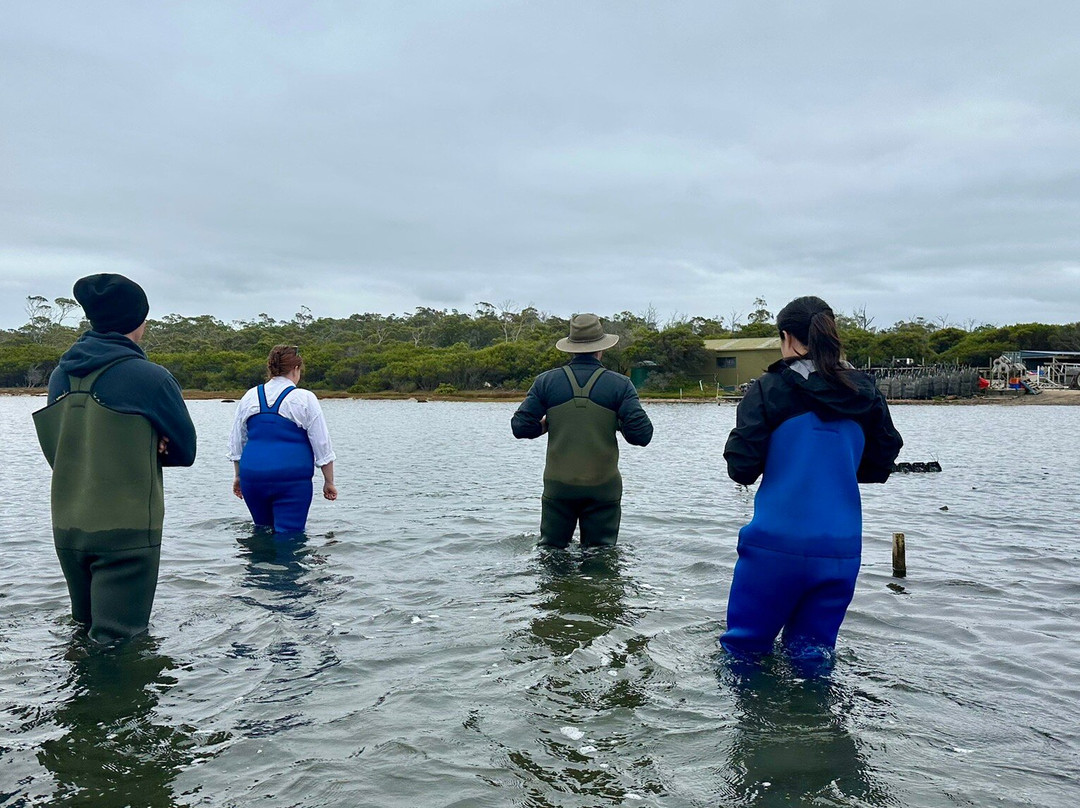 Oyster Bay Tours-科尔斯湾必去景点