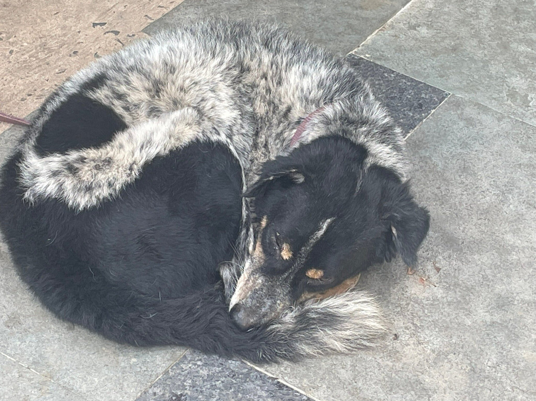 John's Highland Comfort主图