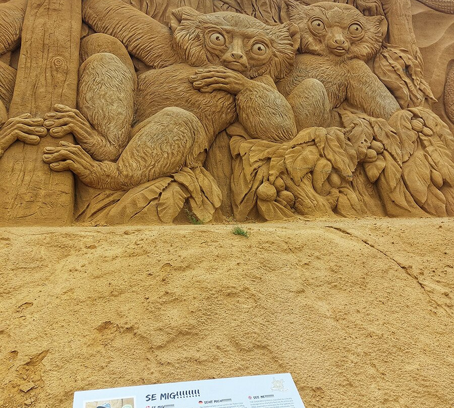 Sandskulpturfestival i Soendervig景点图片
