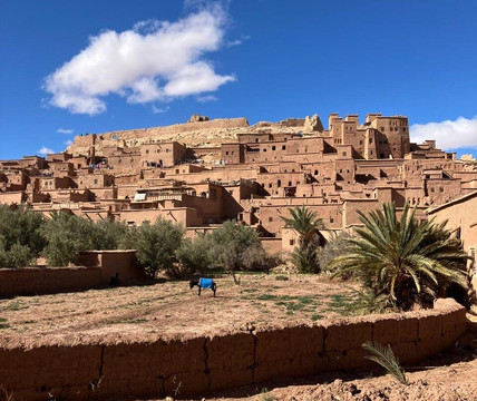 Sahara Morocco Travels-非斯必去景点
