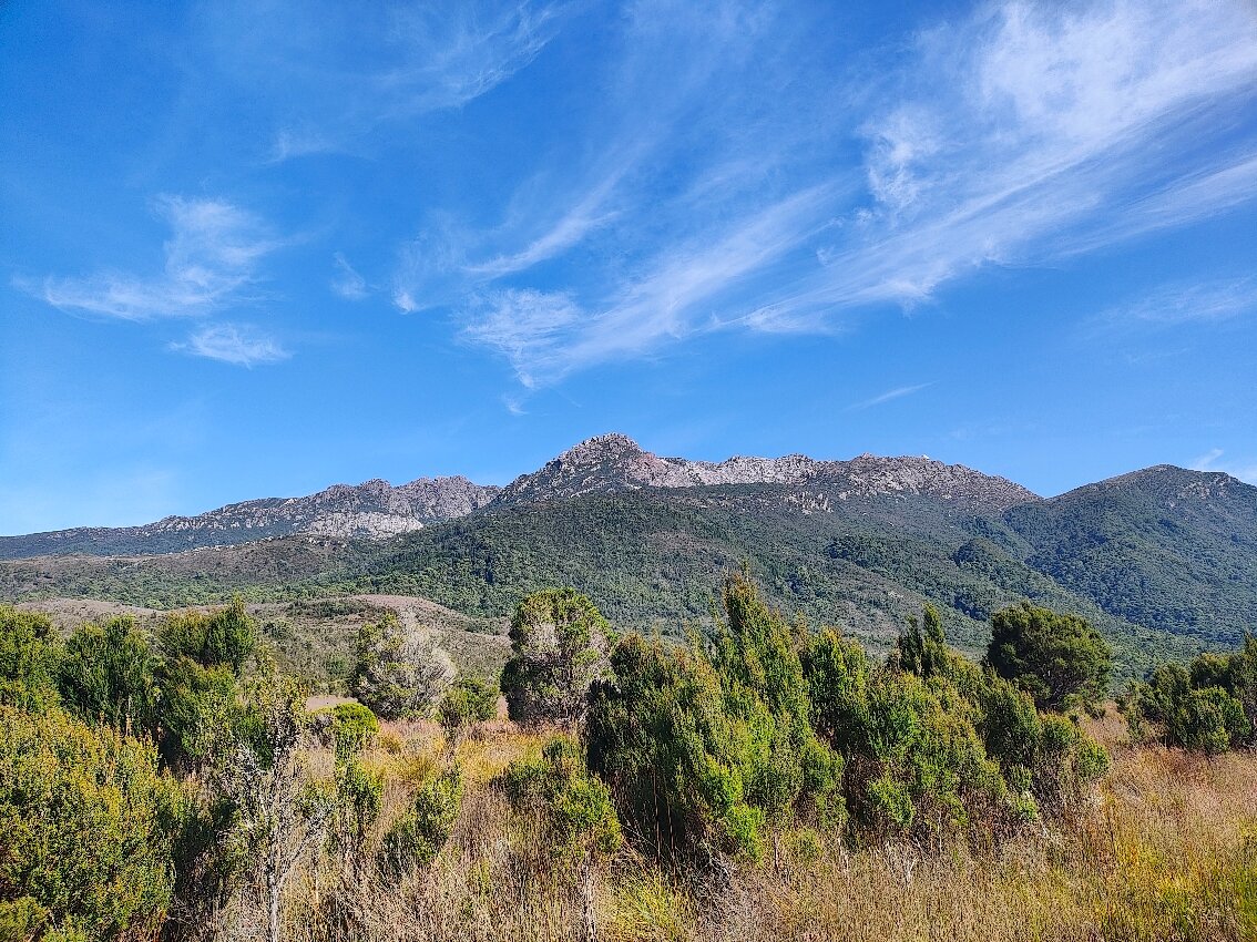 The Empire Hotel-官方