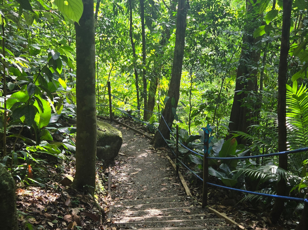Nauyaca Waterfall Nature Park景点图片